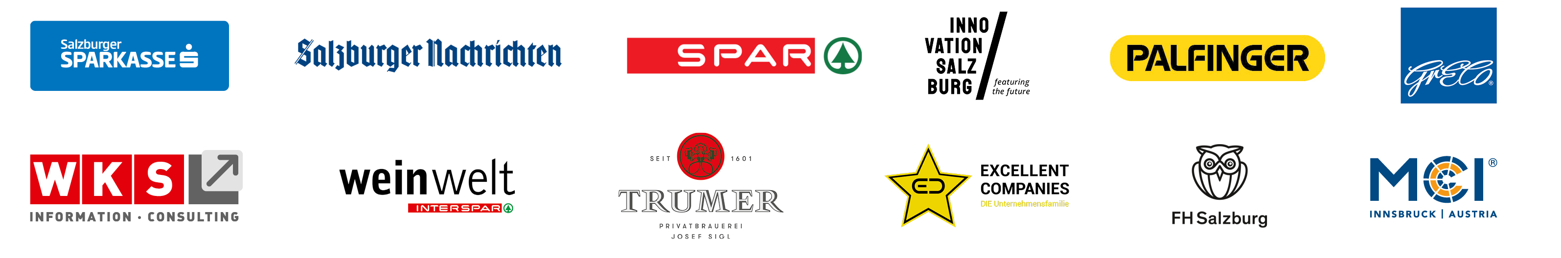 260407 Logoleiste Salzburger Wirtschaftsforum Partner Freunde